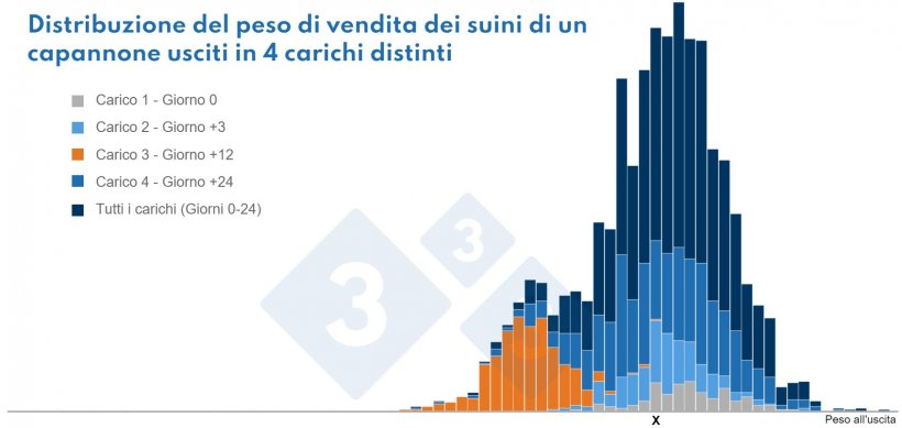 Si vede chiaramente che i suini di peso "X" provengono da 4 diverse sottopopolazioni.